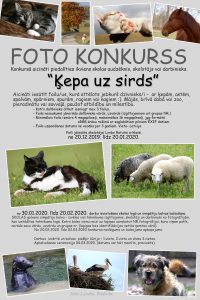 Plakats foto konkursam 1